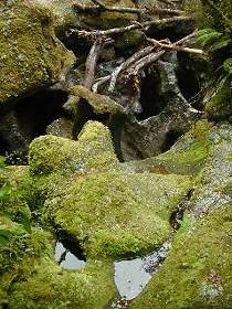  Milford Sound pictures