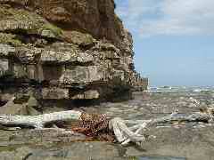 The Catlins, rock-face at Curio Bay