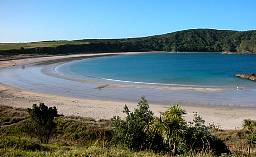 Matai Bay NZ