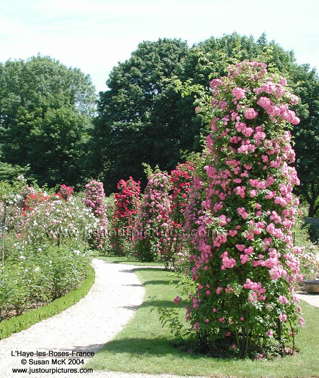 L'Haye les Roses