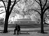 NYC-Two trees and a fountain. File# 2226. Photographer: Susan